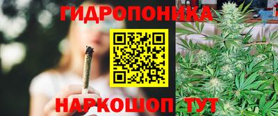 Альфа ПВП Рузаевка