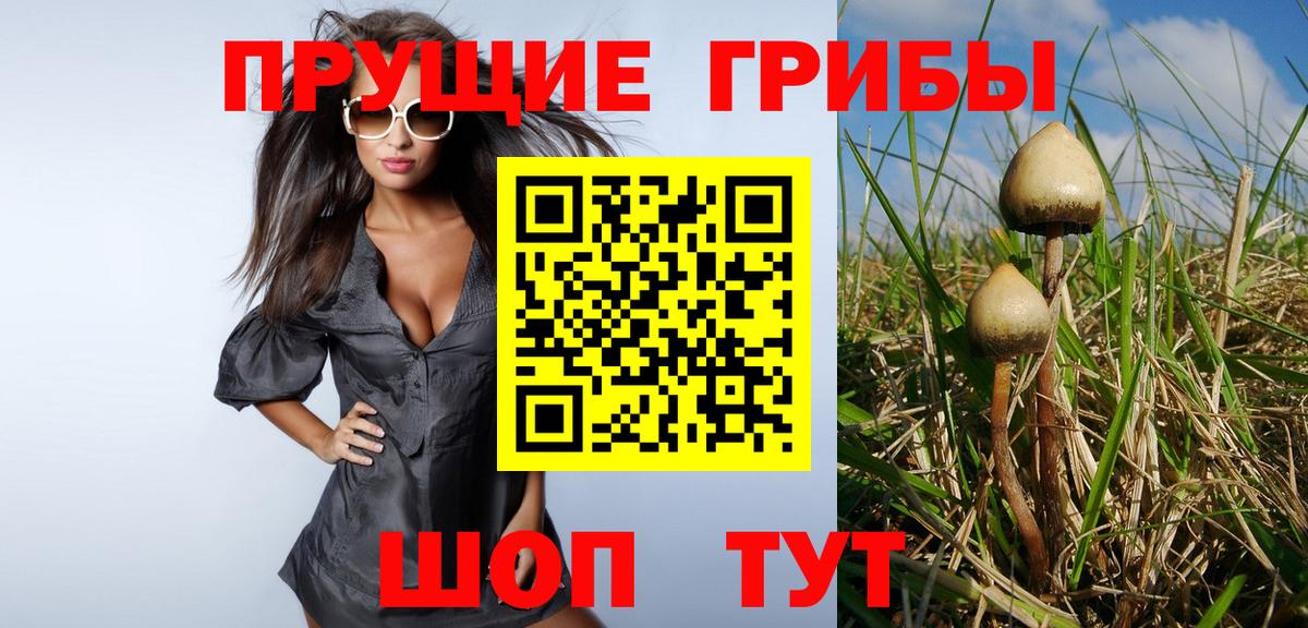Галлюциногенные грибы Psilocybine cubensis  Вход с VPN  Рубцовск  Галлюциногенные грибы ЛСД 